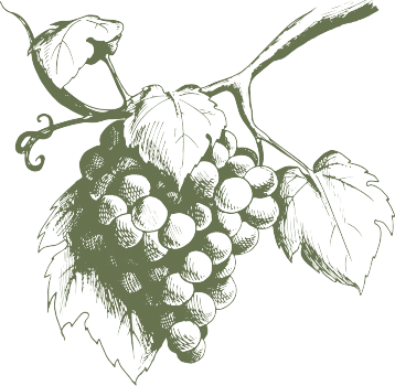 Illustration de l'histoire du Vignoble Durand