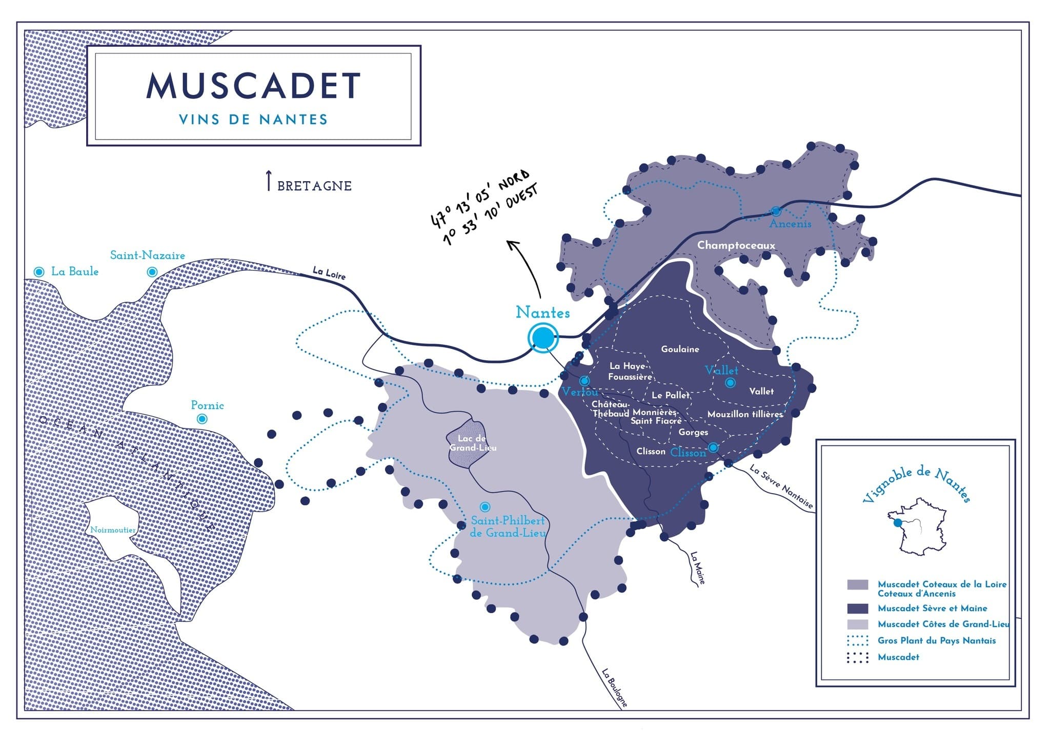 Qu'est ce que le Muscadet sur lie - Vignoble Durand